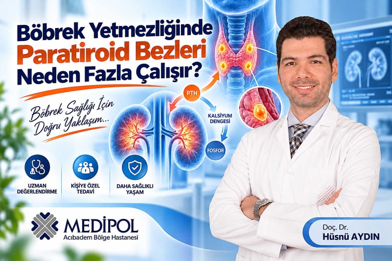 Böbrek Yetmezliğinde Paratiroid Bezleri Neden Fazla Çalışır?